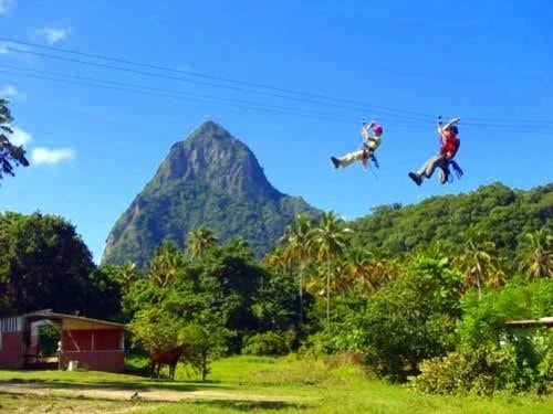 Zip Line Tour